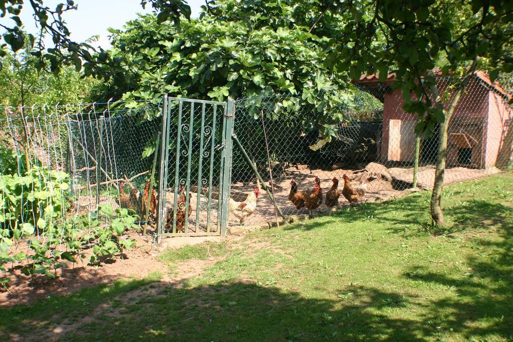 Fonte San Pedrin Guest House Cajide Luaran gambar